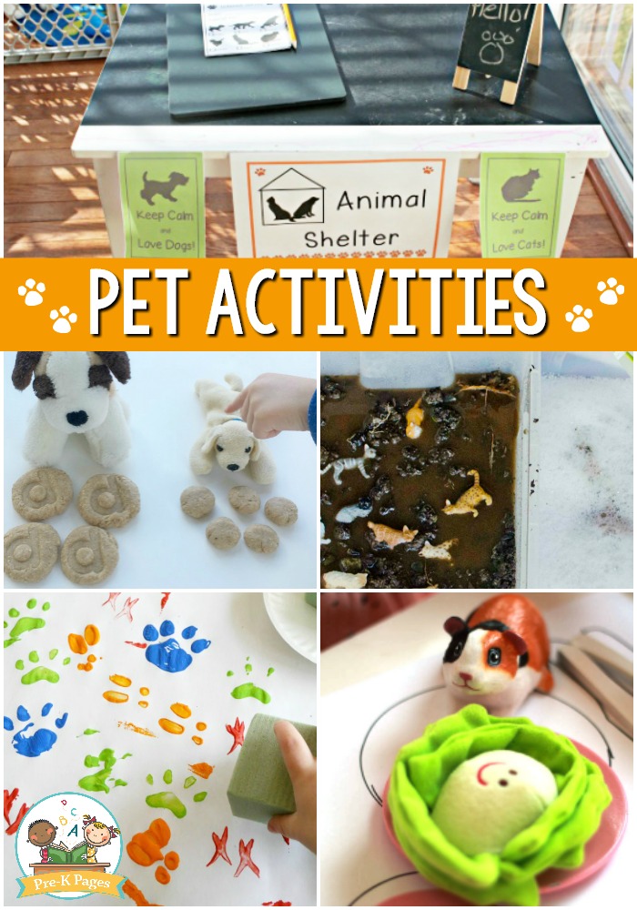 Pet Themed Activities for Preschool