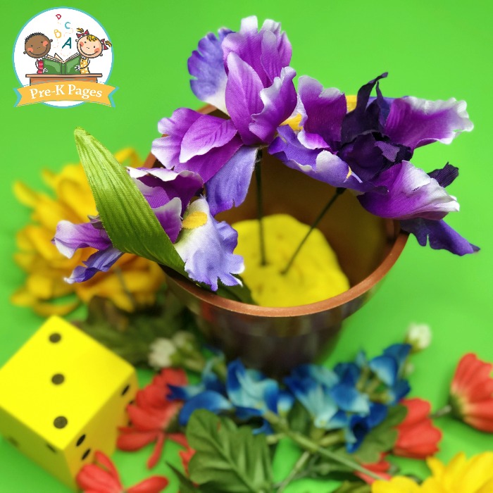Flower Counting Activity for Preschoolers